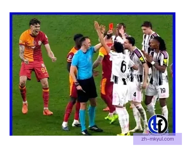 意媒称卡卢卢误判红牌难撤销